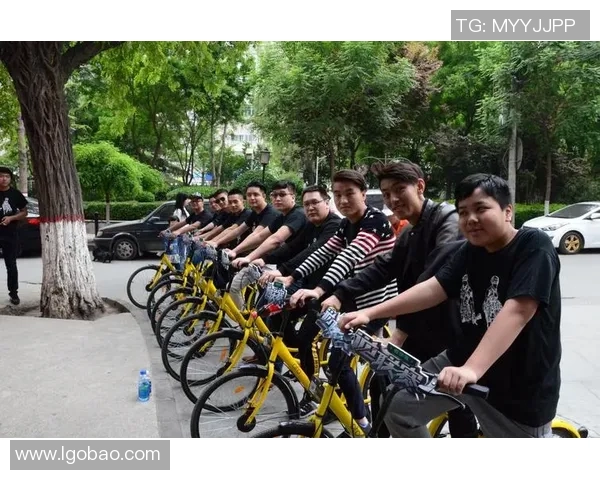 天狼星与诺科平激战正酣比赛结果揭晓精彩瞬间回顾